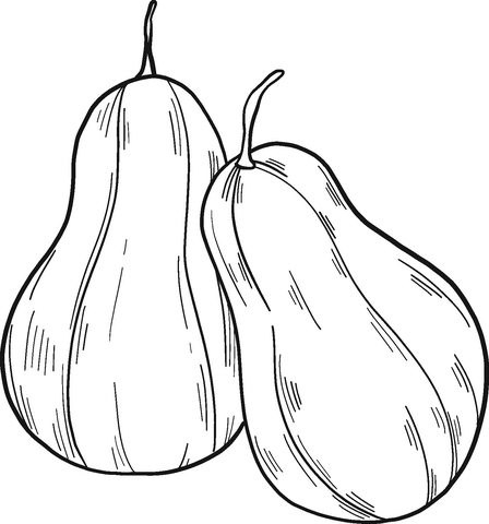 Two oblong pumpkins coloring book